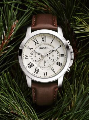 download (6) Fossil Heritage Watch