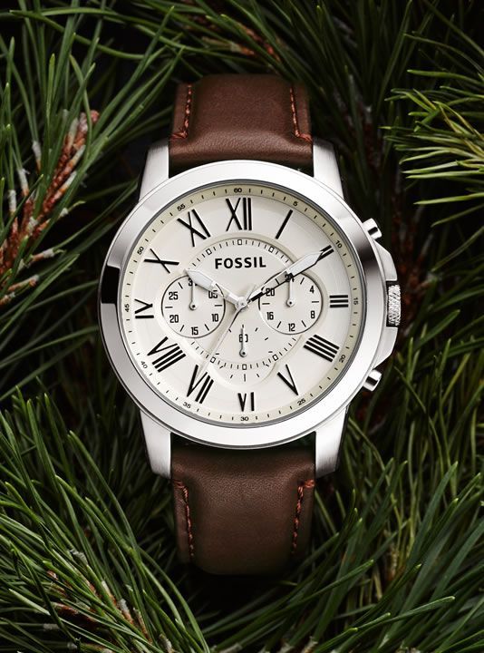 download (6) Fossil Heritage Watch